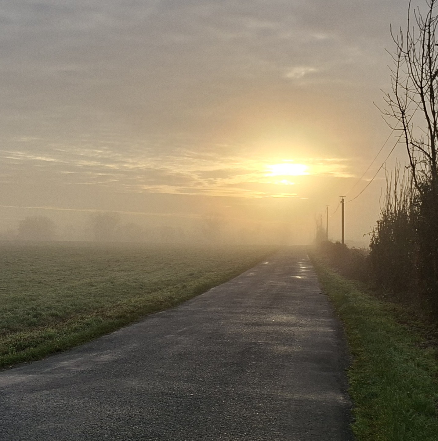chemin a parcourir.jpg
