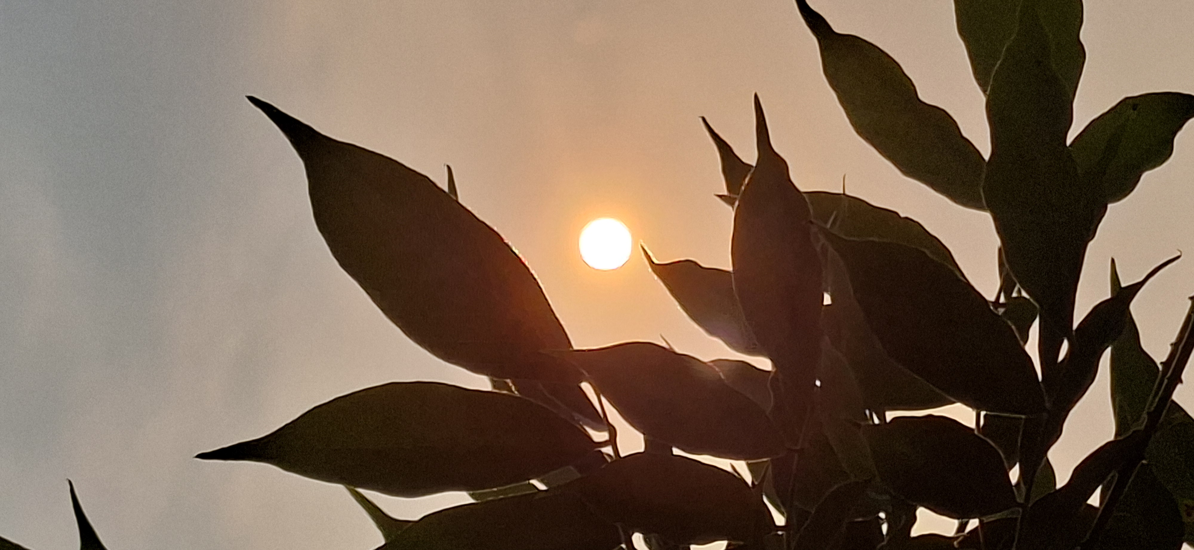 soleil equilibre.jpg
